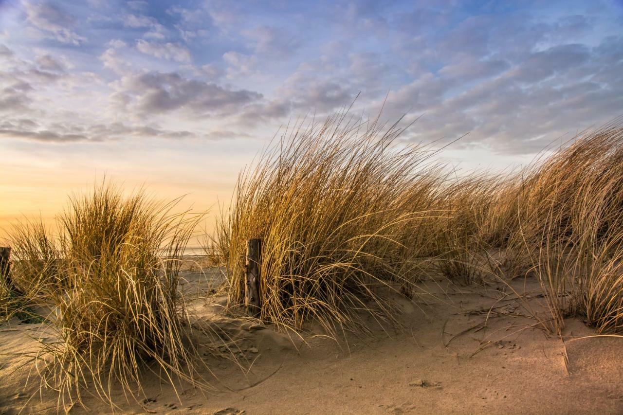 Nordsee-Camp Norddeich Norden Eksteriør bilde